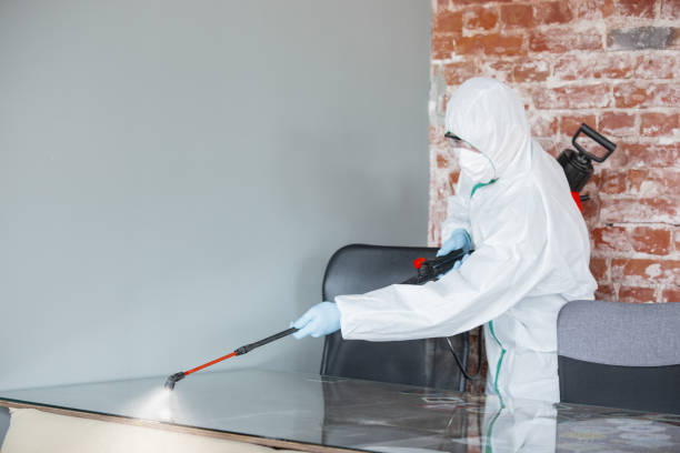 Best Attic Mold Removal  in Chickasha, OK